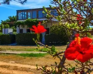 https://casa-relax-acqua-marina.sicilyhotelsitaly.net